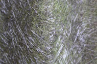 St Harmon fibreglass roof work
